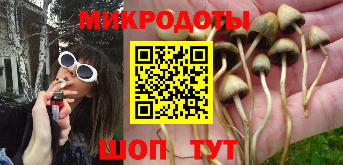 Псилоцибиновые грибы ЛСД  Вход с VPN  купить наркоту  Партизанск  Псилоцибиновые грибы мицелий 